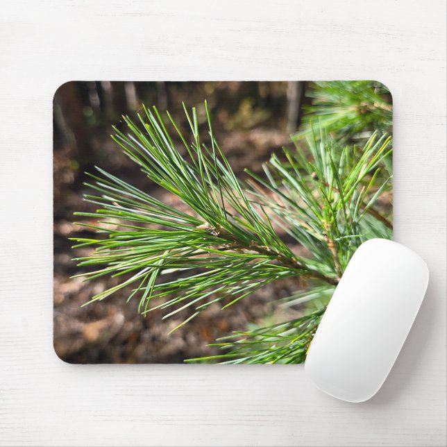 Pine Tree Needles In Sunlight Mouse Mat (With Mouse)
