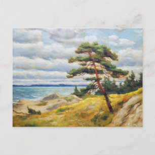 Pine tree on sanddune on baltic sea. oil painting  postcard