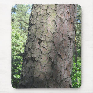 Pine Tree, Palanga Botanical Garden, LITHUANIA – Mouse Mat