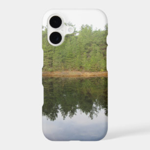 Pine Tree Reflection Lake