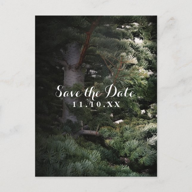 Pine Tree Rustic Forest Woods Save the Date Party Announcement Postcard (Front)