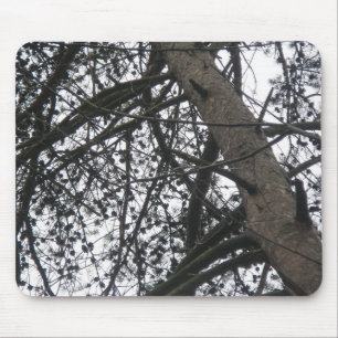 Pine Tree Silhouette Mousepad