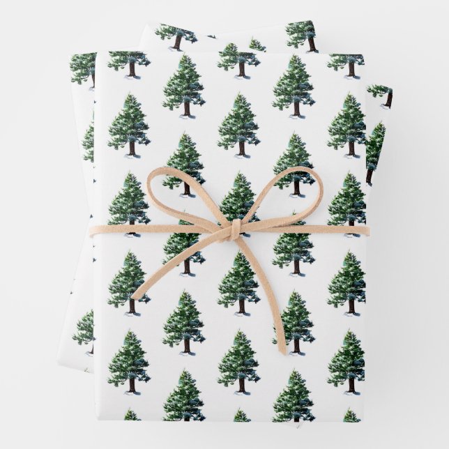 Pine Tree with Snow Watercolor Painting  Wrapping Paper Sheet (In situ)
