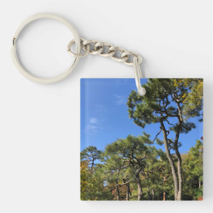Pine Trees in Autumn Sky Key Ring