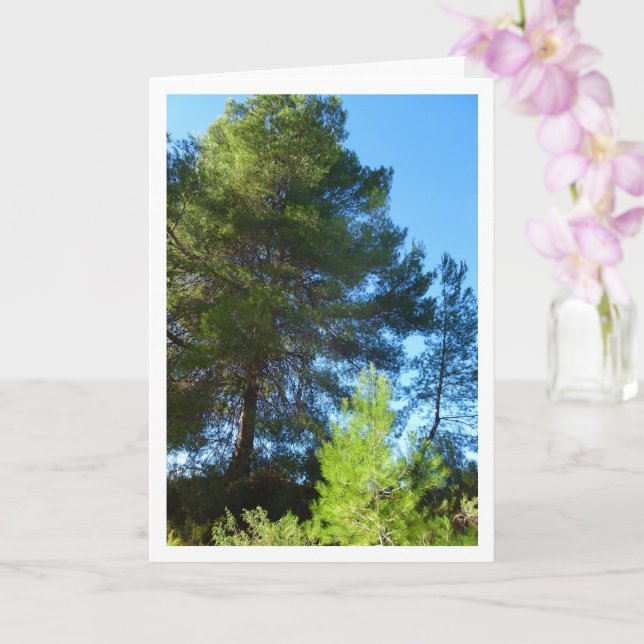 Pine Trees in Forest Card (Orchid)