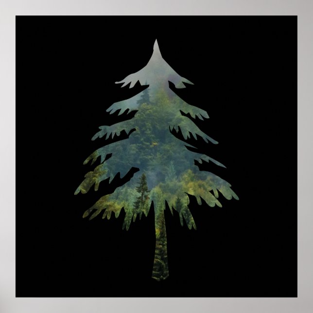 Pine trees Into the forest  Poster (Front)