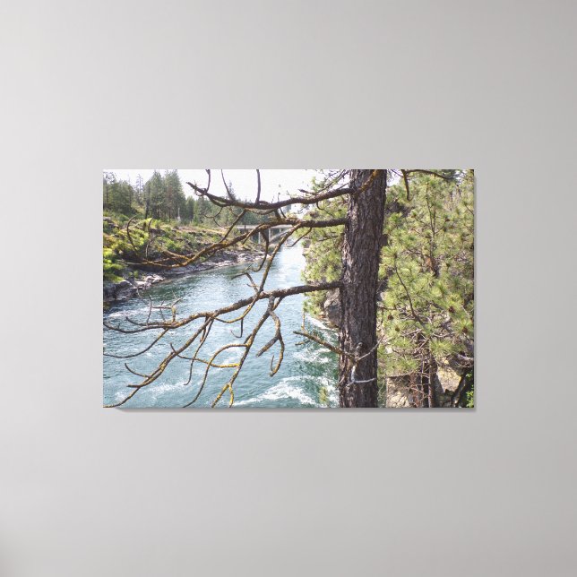 Pine Trees, Rivers, and Old Bridge Photo Canvas Print (Front)