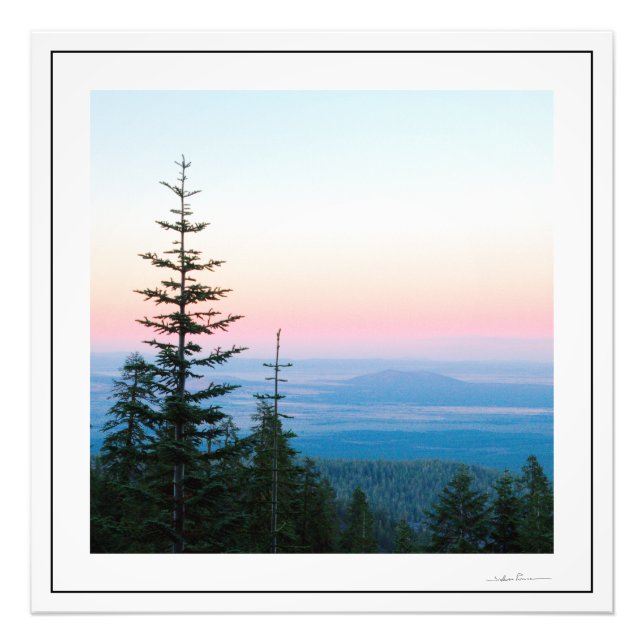 Pine Trees Sunset by Sidharta Photo Print (Front)
