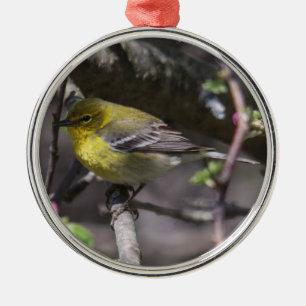 Pine Warbler Metal Tree Decoration