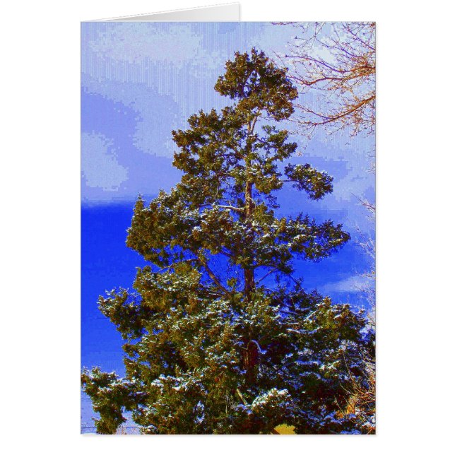 Pine with Pixilated Sky (Front)