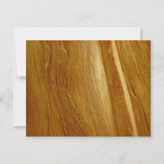 Pine Wood II Faux Wooden Texture Card (Front)