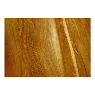 Pine Wood II Faux Wooden Texture Photo Print