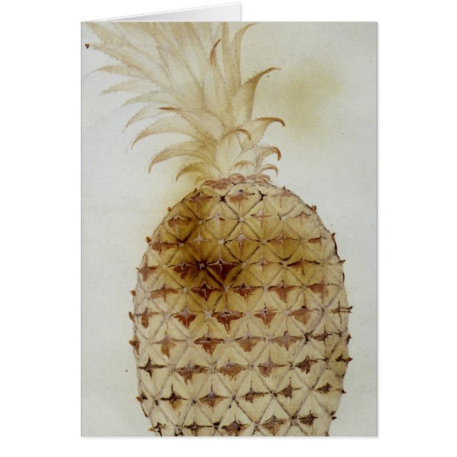 Pineapple (Front)