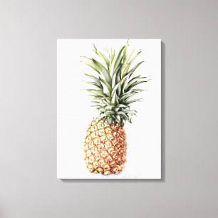 Pineapple 1997 canvas print