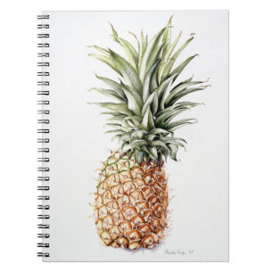 Pineapple 1997 notebook