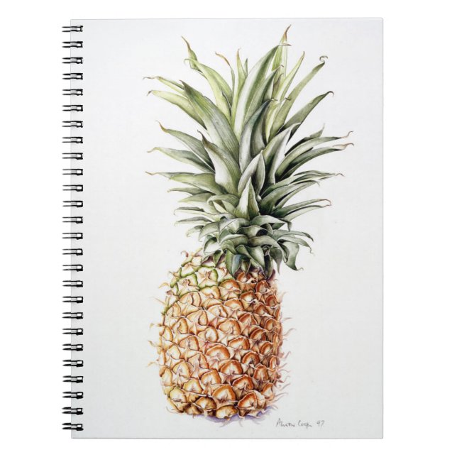 Pineapple 1997 notebook (Front)