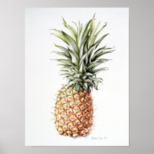 Pineapple 1997 poster