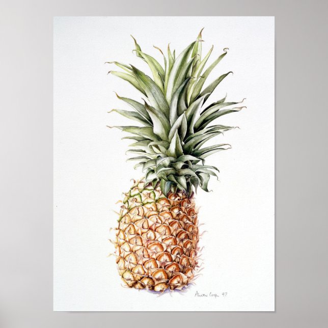 Pineapple 1997 poster (Front)