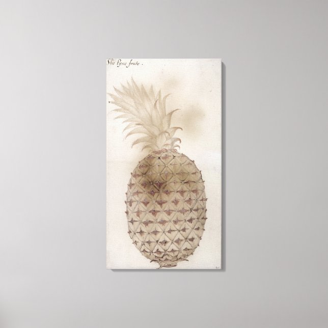 Pineapple, Canvas Print (Front)