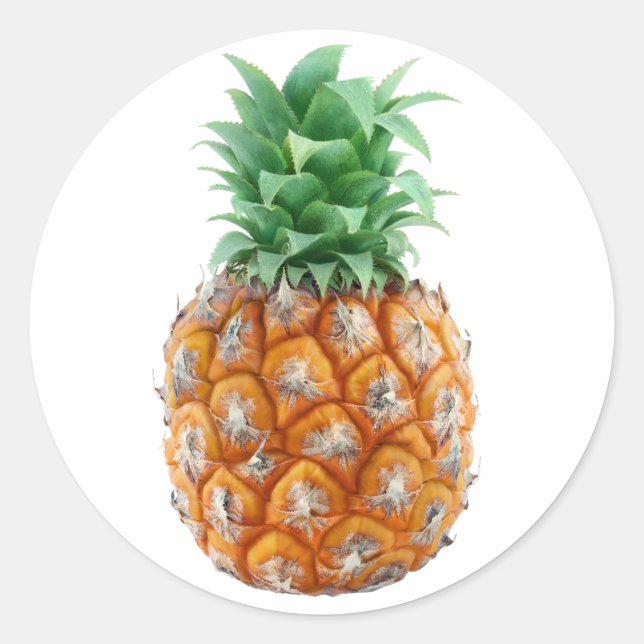Pineapple Classic Round Sticker (Front)