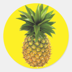 Pineapple Classic Round Sticker