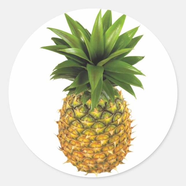 Pineapple Classic Round Sticker (Front)