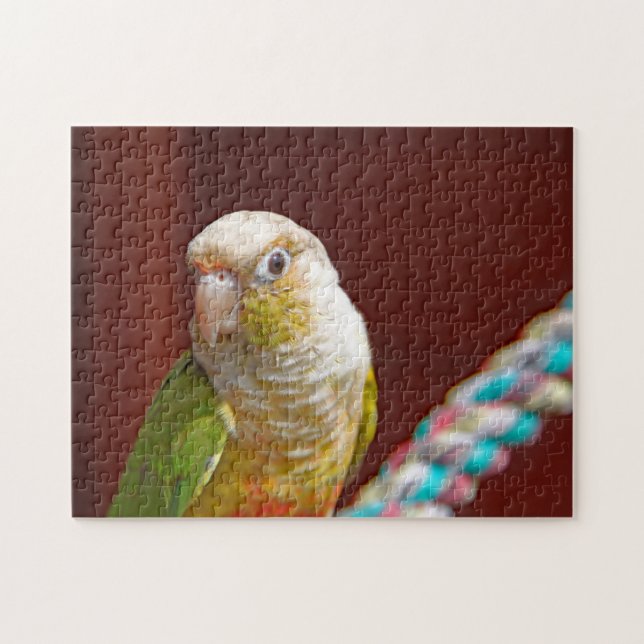 Pineapple Conure Jigsaw Puzzle (Horizontal)