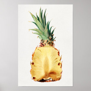 Pineapple cut in half Fruit Watercolor Painting Poster