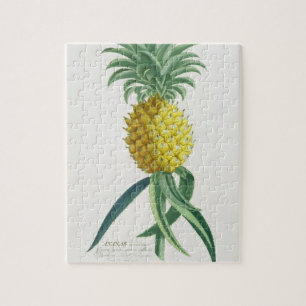 Pineapple engraved by Johann Jakob Haid (1704-67) Jigsaw Puzzle
