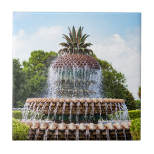 Pineapple Fountain in Charleston, SC Tile