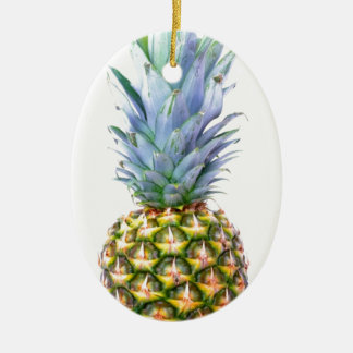 Pineapple Fruit Beach Dessert Colourful Tropical Ceramic Tree Decoration