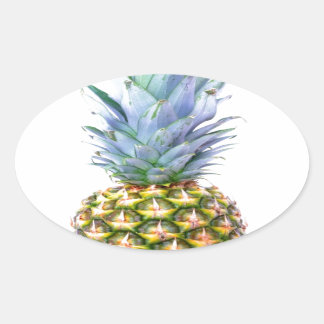 Pineapple Fruit Beach Dessert Colourful Tropical Oval Sticker