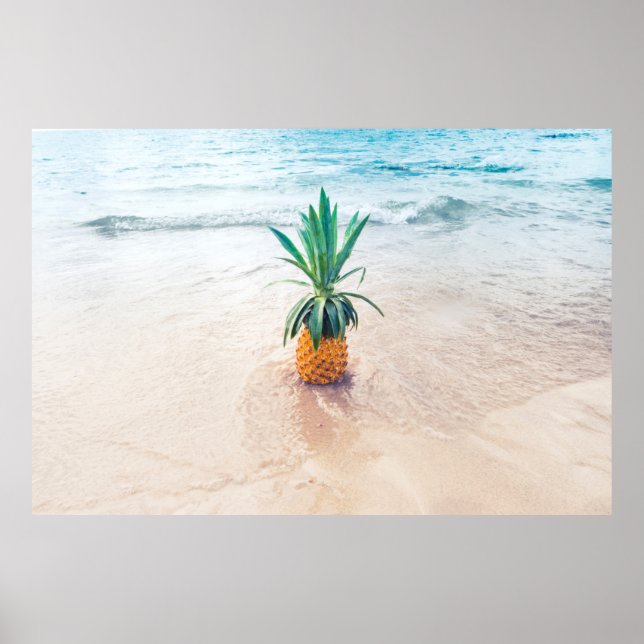 Pineapple fruit on beach shore in the morning poster (Front)