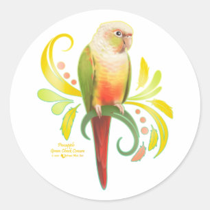 Pineapple Green Cheek Conure Classic Round Sticker