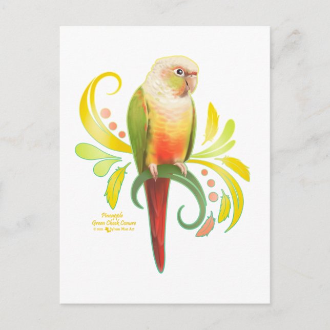 Pineapple Green Cheek Conure Postcard (Front)