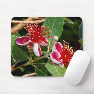 Pineapple Guava / Guavasteen Flowers Mouse Mat