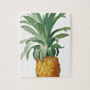 Pineapple Jigsaw Puzzle
