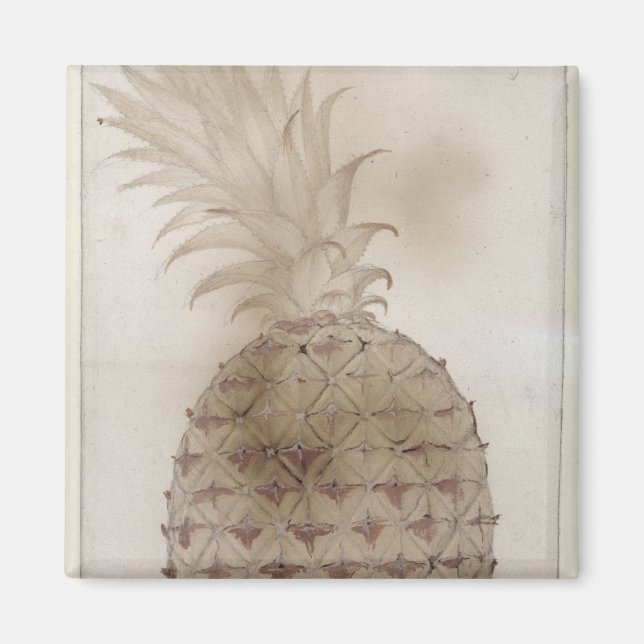 Pineapple, Magnet (Front)