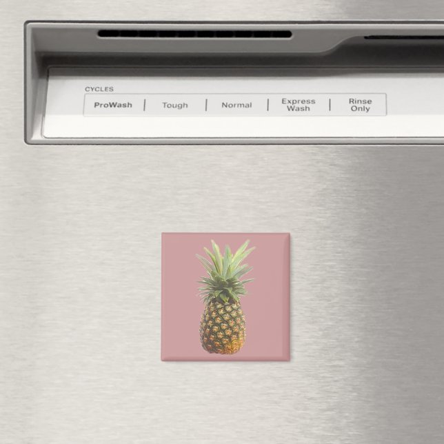 Pineapple Magnet (In Situ (Dishwasher))