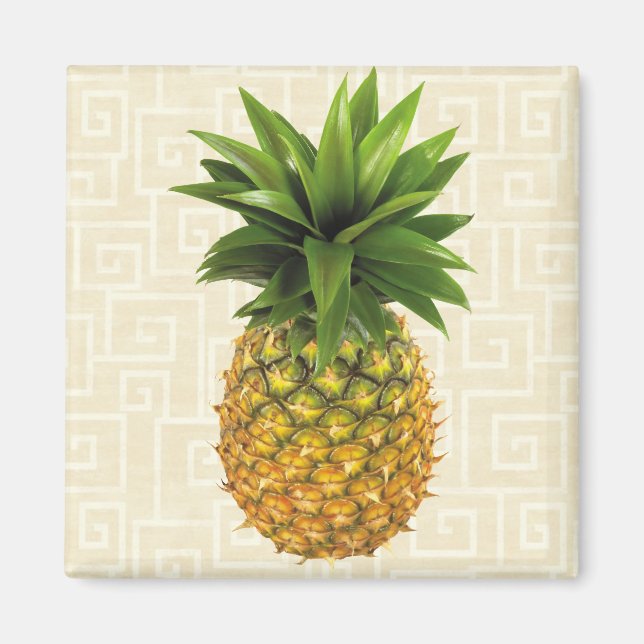 Pineapple Magnet (Front)