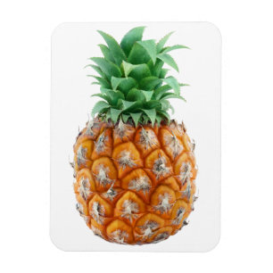 Pineapple Magnet