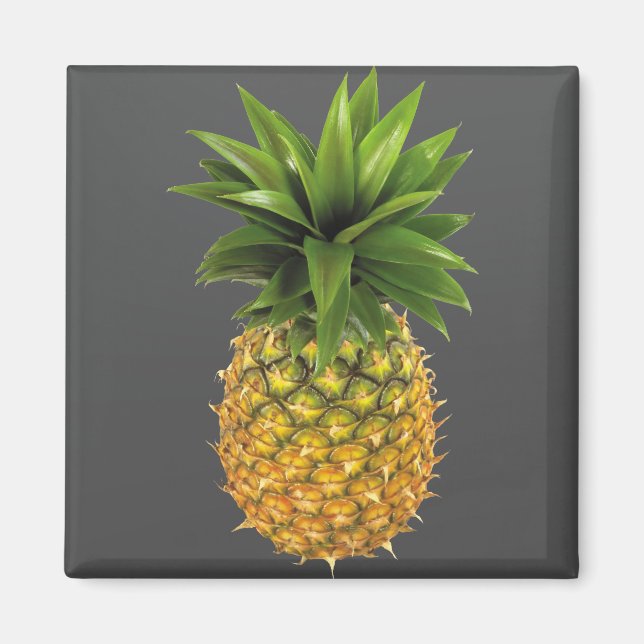 Pineapple Magnet (Front)
