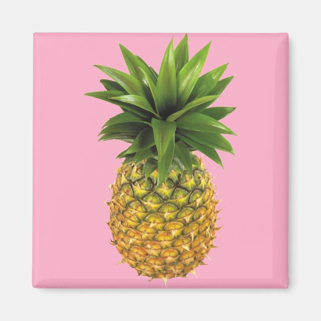 Pineapple Magnet (Front)