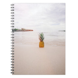 Pineapple on sand near beach notebook