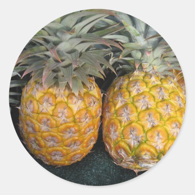 Pineapple Paradise Classic Round Sticker (Front)