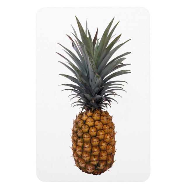 Pineapple Photo Magnet (Vertical)