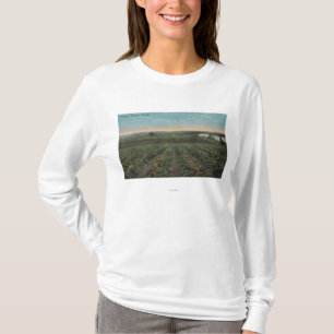 Pineapple Plantation Ready for Harvest in Florid T-Shirt