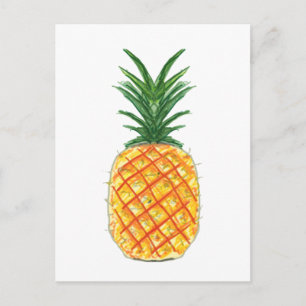 Pineapple Postcard