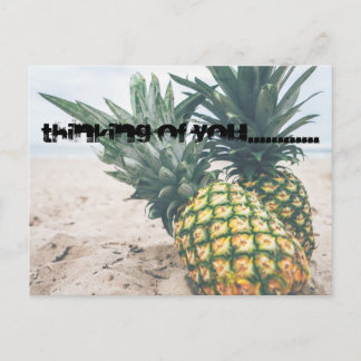 Pineapple Postcard