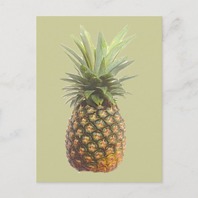 Pineapple Postcard (Front)
